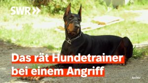 Touristen in der Südpfalz von...