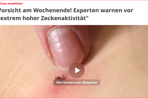 Zecke herausoperiert