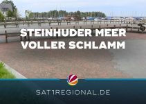 „Schlammassel“ am Steinhuder Meer