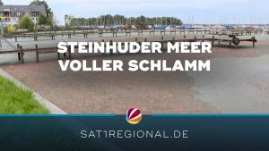 „Schlammassel“ am Steinhuder ...