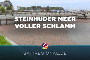 „Schlammassel“ am Steinhuder Meer