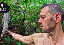 7vs.Wild: Amazonas – Folge 04 | Blut, Schweiß und Nahrungssuche