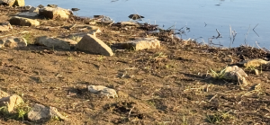 Wasser auf dem Mars gefunden ...