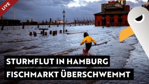 Sturmflut in Hamburg LIVE  Fi...