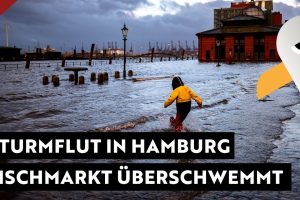 Sturmflut in Hamburg LIVE  Fischmarkt komplett überschwemmt ⛈️ Sturm Amy/Detlef  05.10.2025