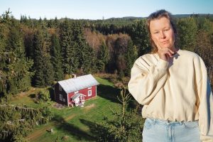Was hat unser Haus in Schweden gekostet? (36.000 EUR – 105 qm Haus + Scheune – 3.300 qm Grundstück)