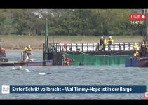 Timmy hat es in die Barge geschafft …