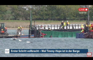 Timmy hat es in die Barge ges...