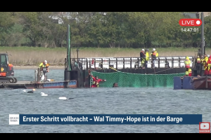 Timmy hat es in die Barge geschafft …