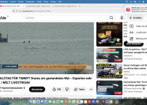 Sonntag -19. April 2026 – Man lässt Timmy leiden …