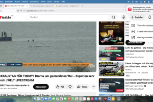 Sonntag -19. April 2026 – Man lässt Timmy leiden …