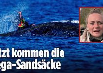 Jetzt kommen die Mega Sandsäcke