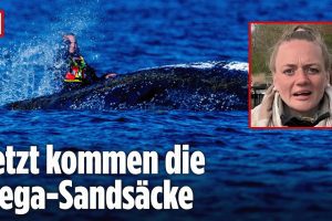 Jetzt kommen die Mega Sandsäcke