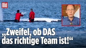 Wal-Drama vor Poel: „Zweifel,...