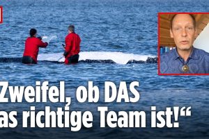 Wal-Drama vor Poel: „Zweifel, ob DAS das richtige Team ist!“ – Meeresbiologe Ritter zur Rettung